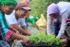 IP WOMEN IN UPI, MAGUINDANAO: Cultivating land and planting seeds of hope towards better life